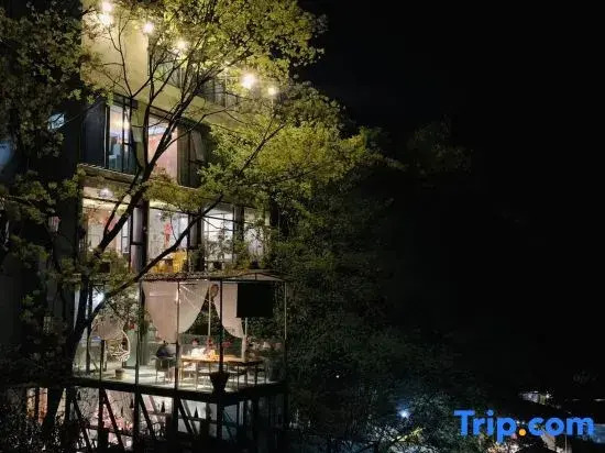 Mount Qingcheng Three Cats  Forest Spa Homestay