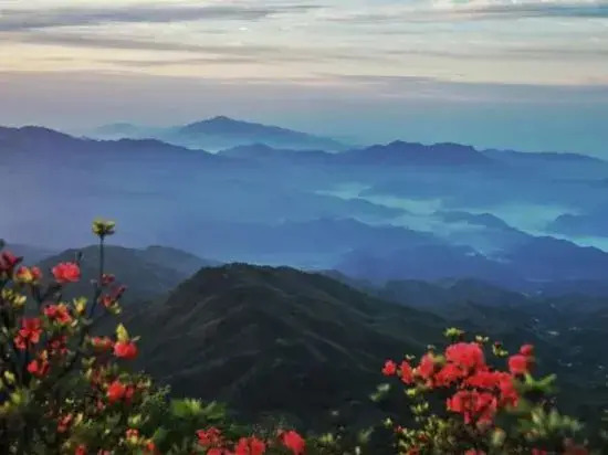 Dawei Mountain Wild Nest Starry Sky Camp