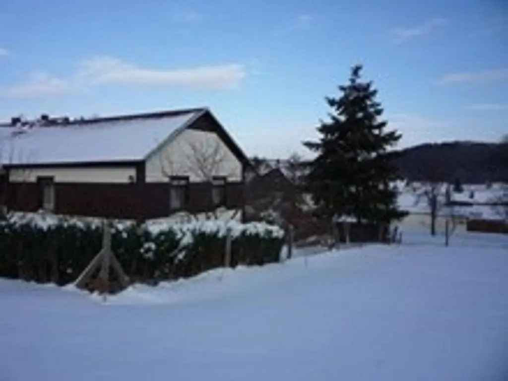 Waldblick - a10644