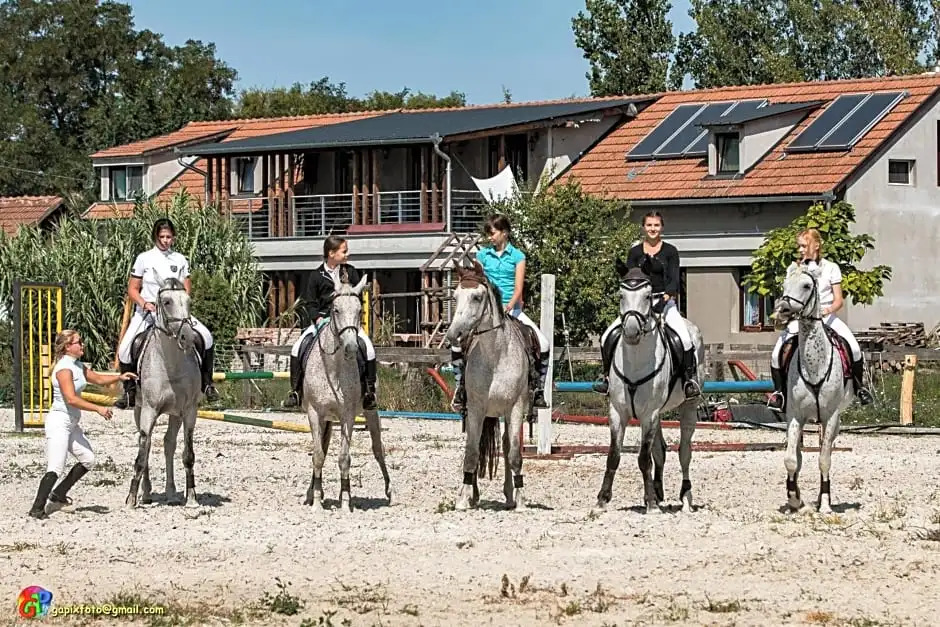Silver Horse Ranch