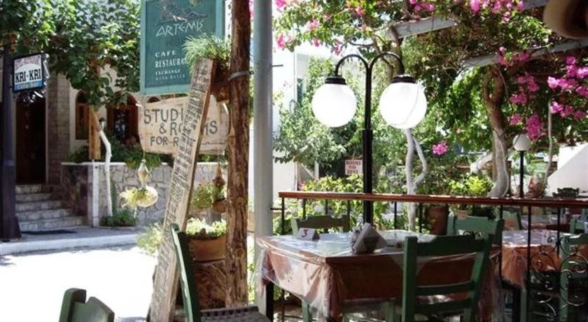 Artemis Studios