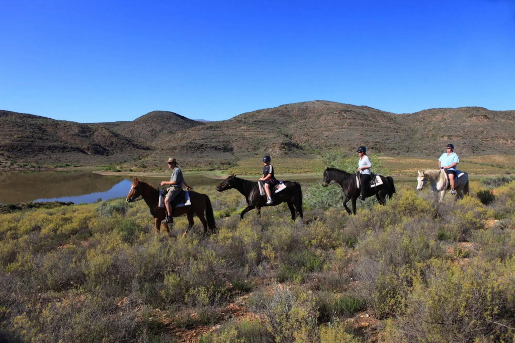 Madi-Madi Karoo Safari Lodge