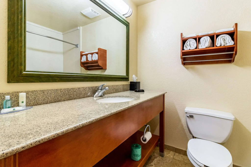 Quality Inn Texas City I-45