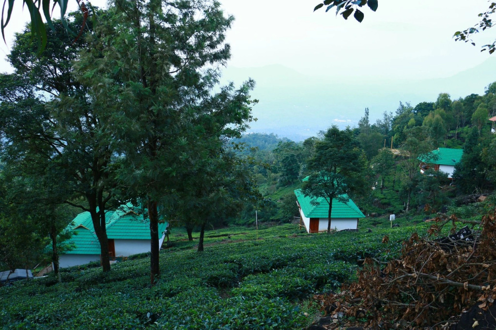 Vythiri Hills Nature Resort