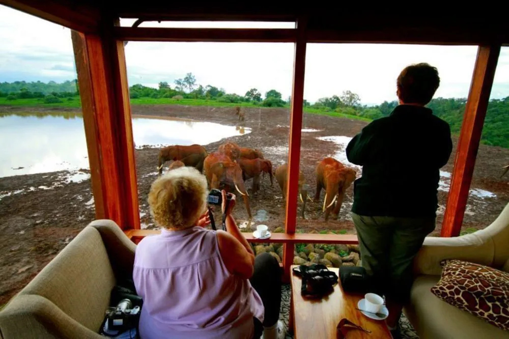 The Ark Lodge