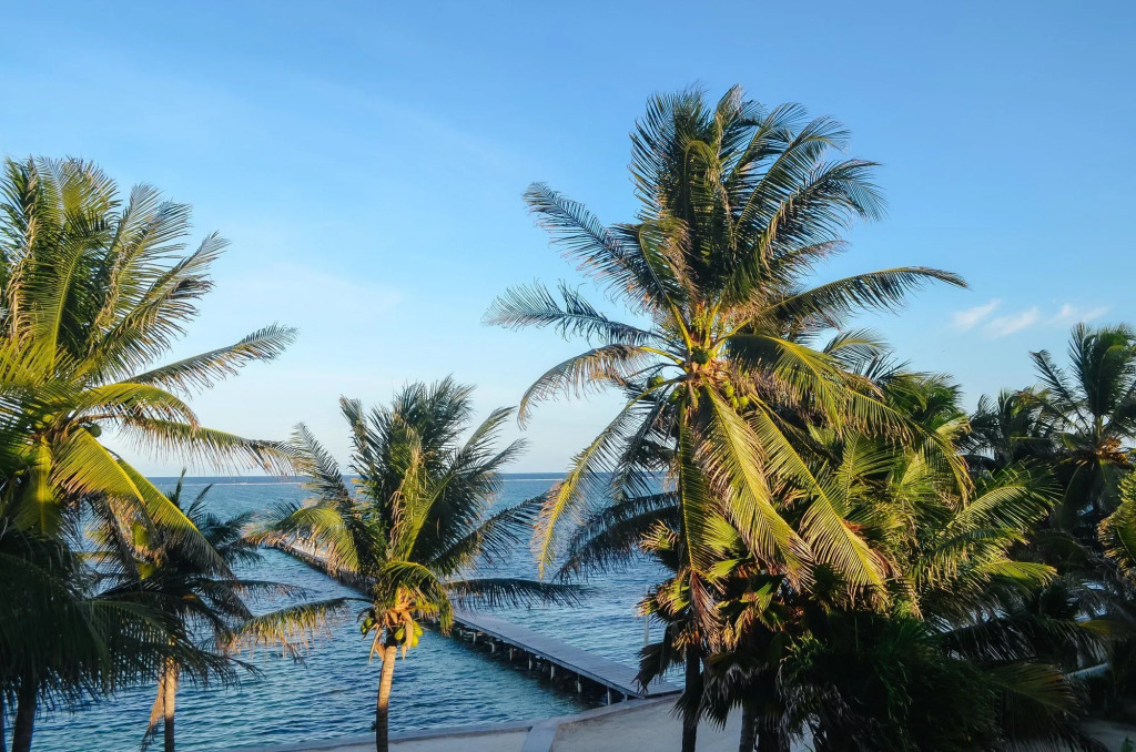 Blue Tang Inn - Beachfront Suites and Pool