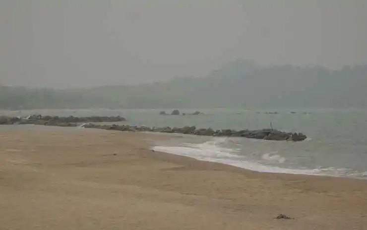 Puri Ansell