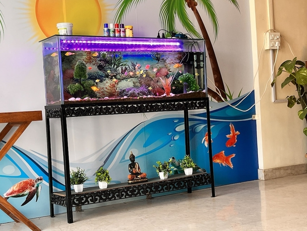 Oyster Pearl Near Medanta Hospital Sec39
