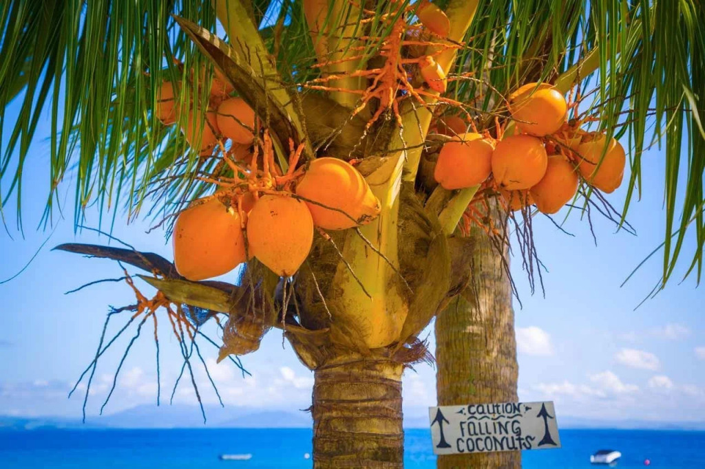 Garden Island Resort
