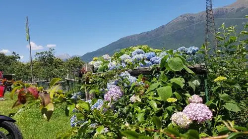 Agriturismo Volpe Golosa