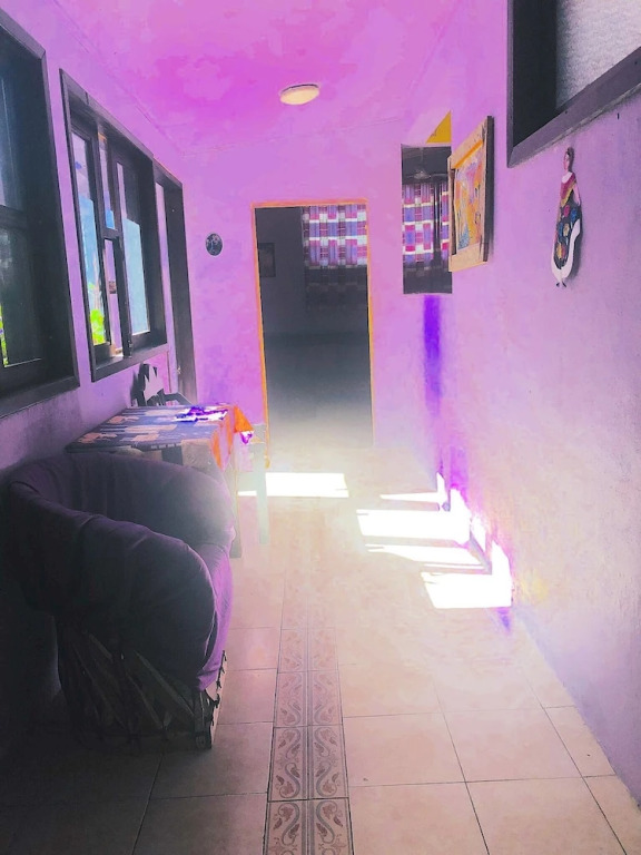 Amazing House of View