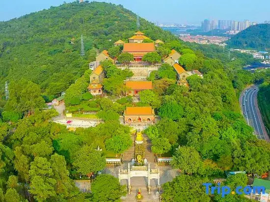 Crystal Hotel  Foshan Shunde Qinghui Garden
