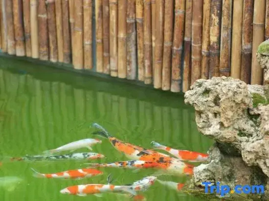 Lushan Commune