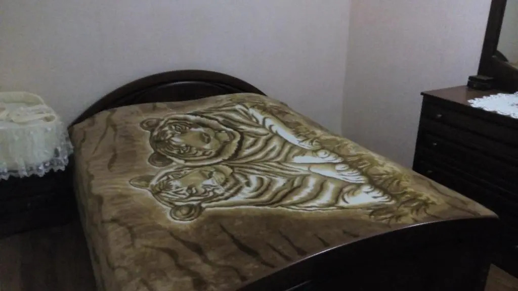 Guesthouse Uyut