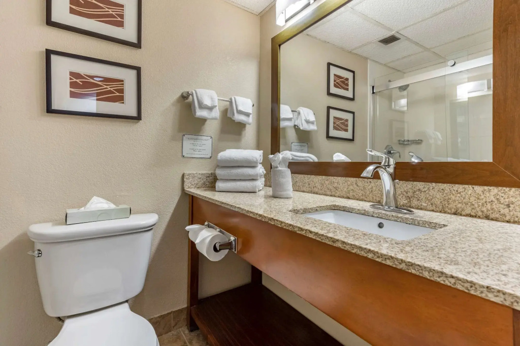 Comfort Inn Cranberry Twp