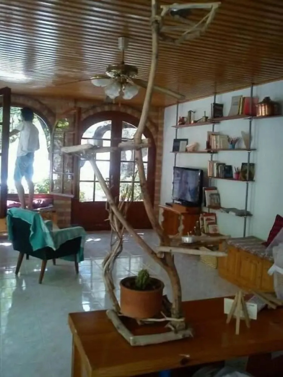 Sofos Apartments