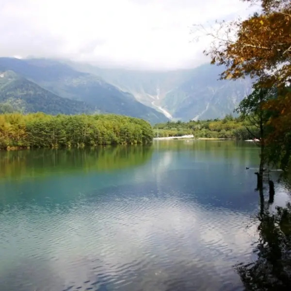 Ryokan Toyasa