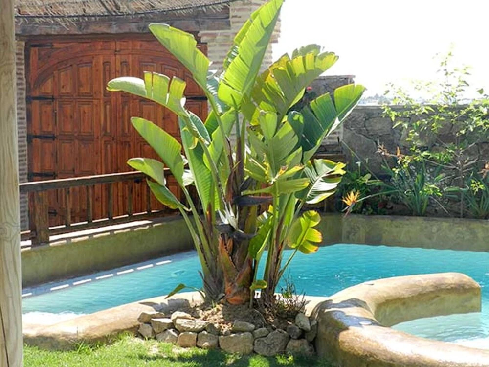 Apartment With 2 Bedrooms in Conil de la Frontera, With Shared Pool, Furnished Terrace and Wifi