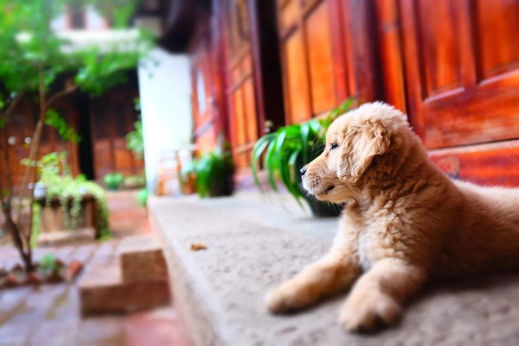 Yuanshan Hostel