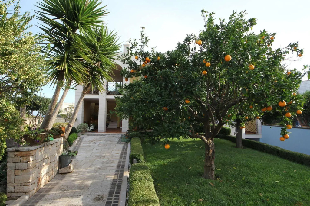 B&B La Rosa Blu