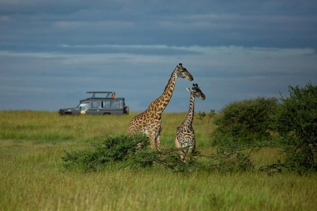 Pumzika Luxury Safari Camp - East Africa Camps