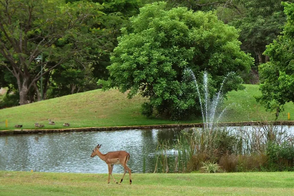 Kruger Park Lodge unit No. 524