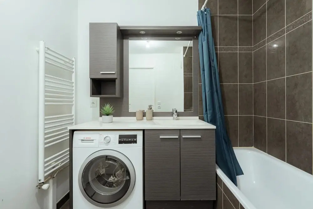 Appartement Spacieux a Chatillon