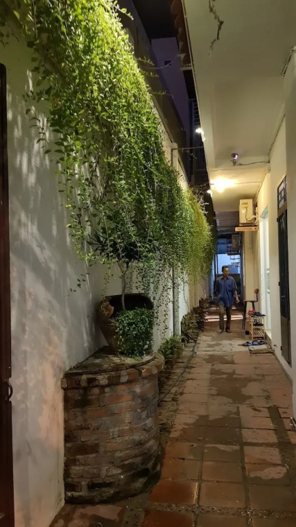 White House Hostel