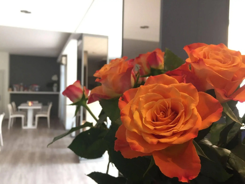 Boutique Hotel Villa Alberta