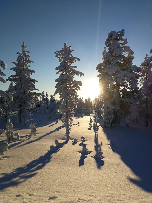 Villas Karhunpesä
