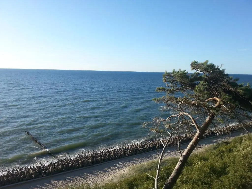 3 Dęby