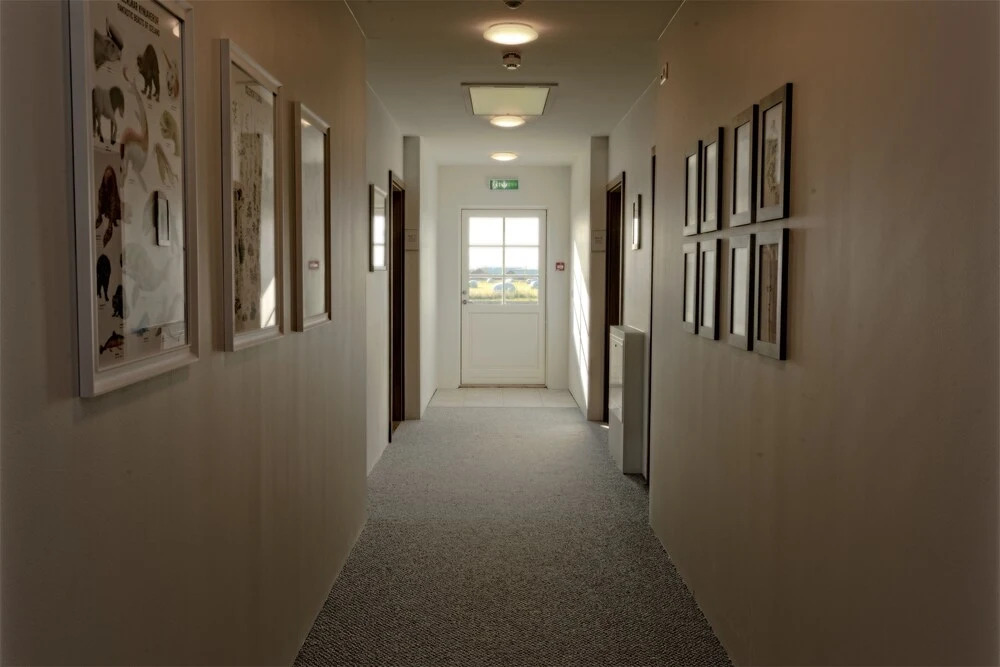 Loa´s Nest Guesthouse