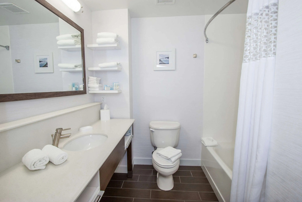 Hampton Inn - Great Falls