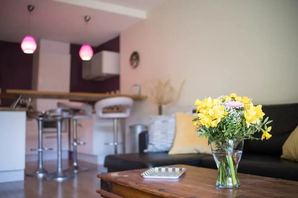 Appartement de Charme une Chambre avec Jardin