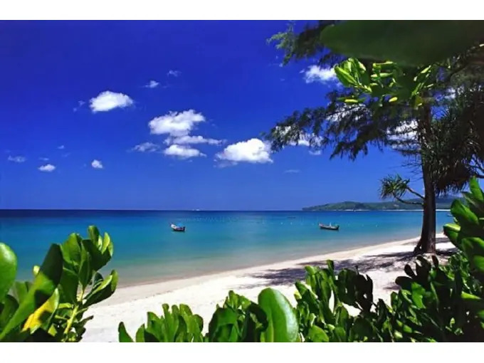 COCO Chalong 2 bedrooms New Villa