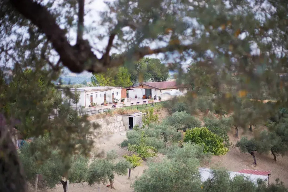 Agriturismo Collecera