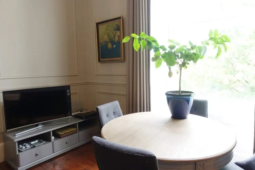Renovated 1 Bedroom Apartment