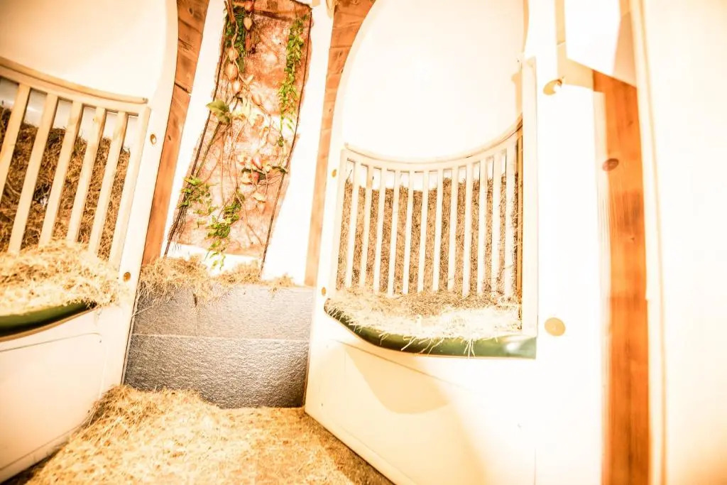 Hotel Enzian