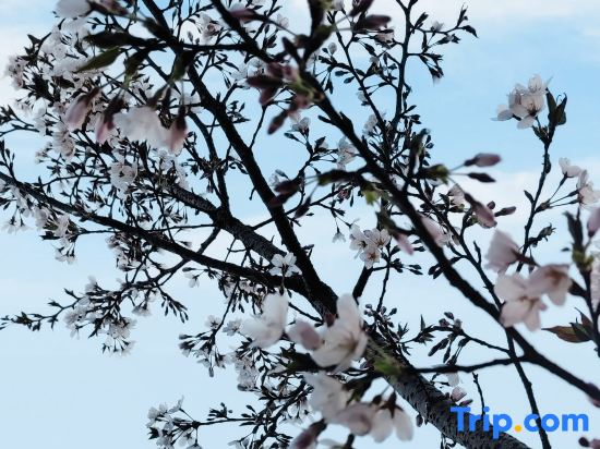 Moganshan Yuansheng Homestay