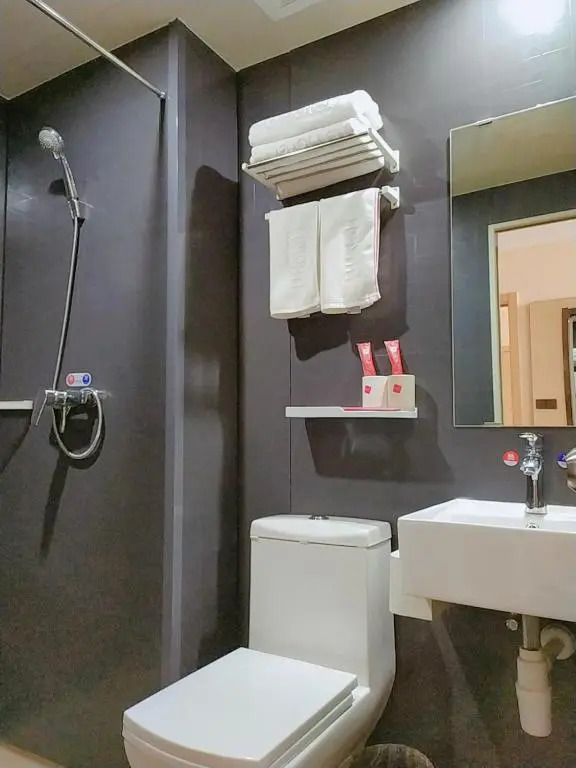 Thank Inn Chain Hotel hebei shijiazhuang luancheng district shiluan street