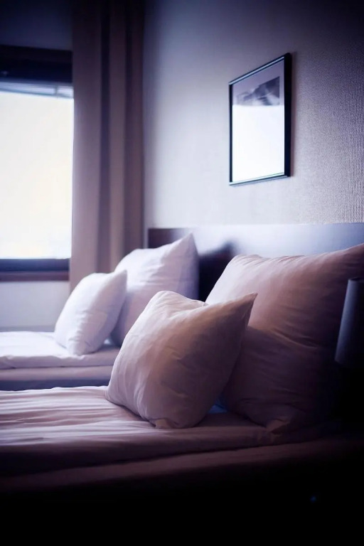 Hotell Wilhelmina