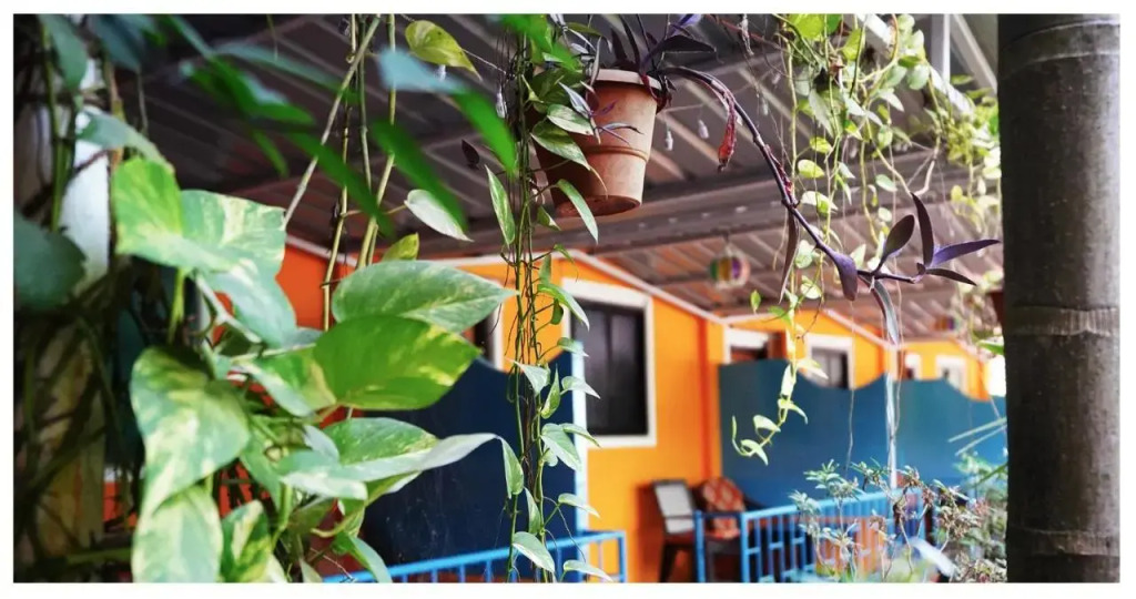 The Casa Nova Goa - Hotel & Art Cafe
