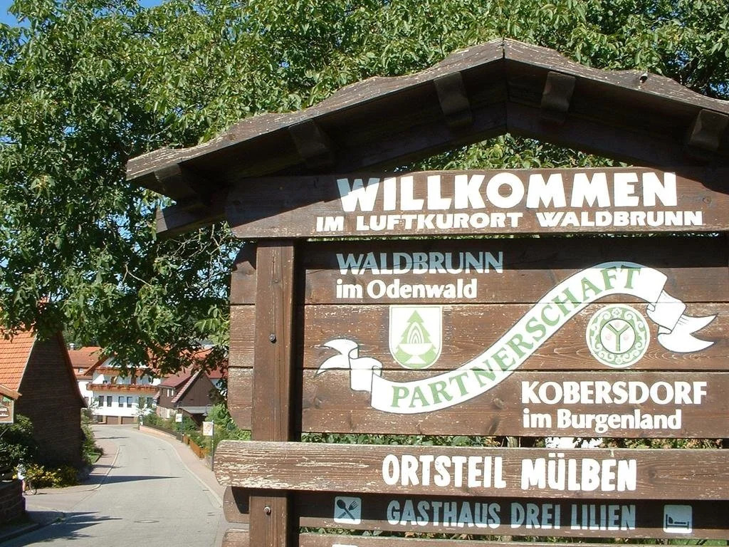 Hotel Drei Lilien