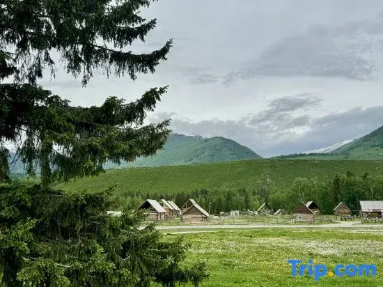 Tongmu Yiyu Shanjian B&B