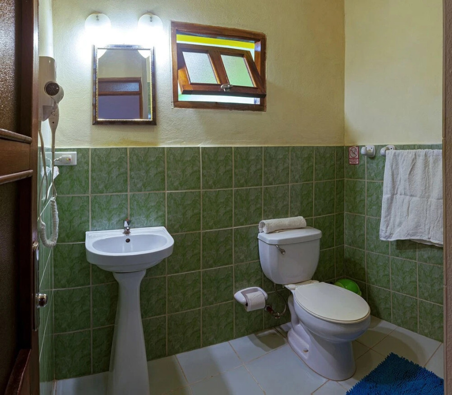 Hostal El Olivo 114