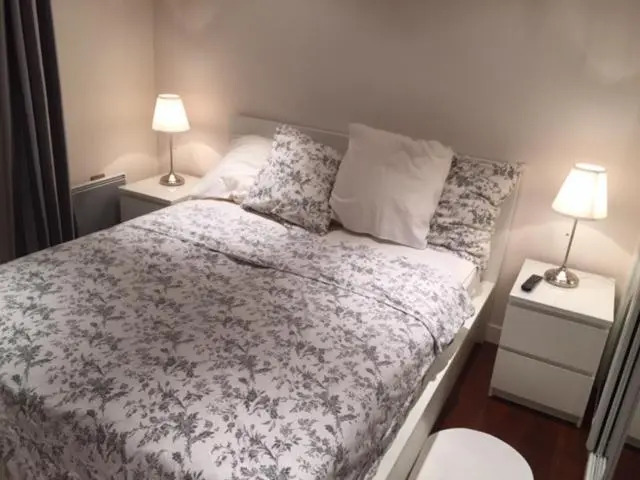 bel appartement hyper centre