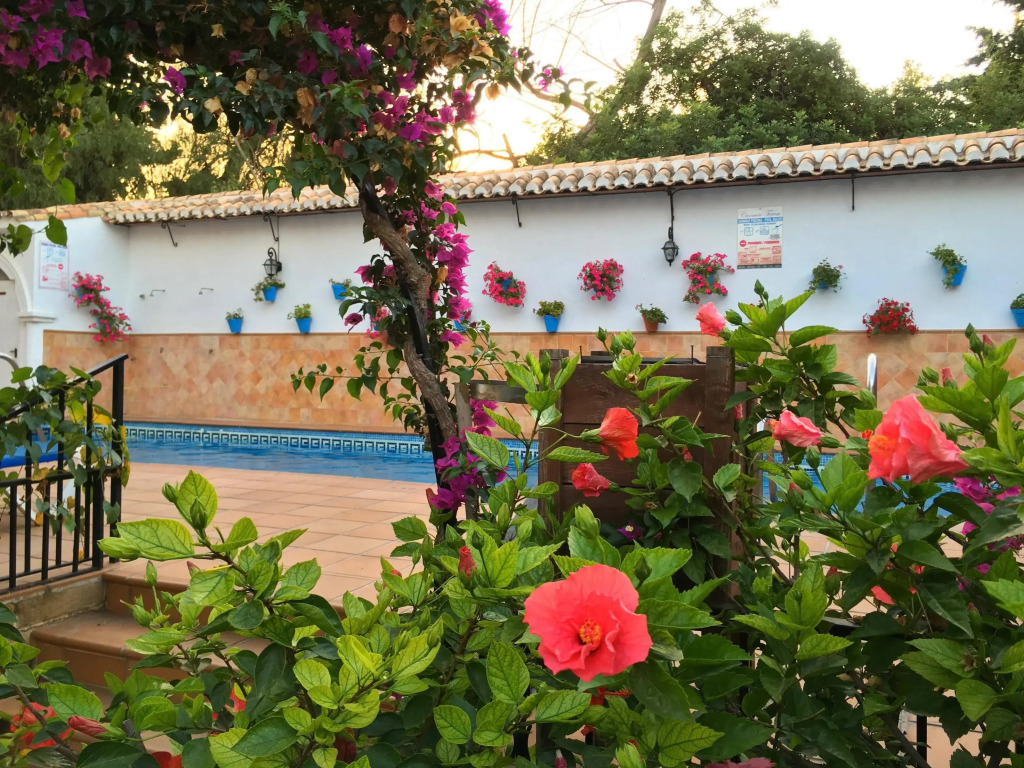 Hotel Carmen Teresa