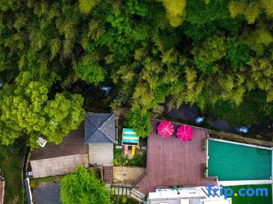 Moganshan Flowing Water Shadow Falling Homestay