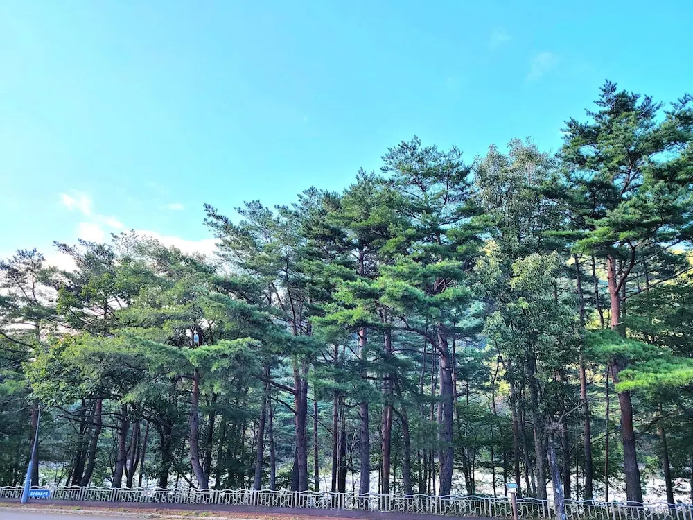 Mt Seorak the East Sea and Hot spring