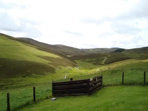 Willowbank